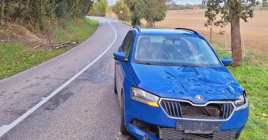 Policia Strom Jablonica Rohoznik