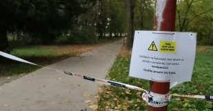 Senica Park Stromy