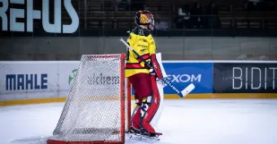 Hc Dukla
