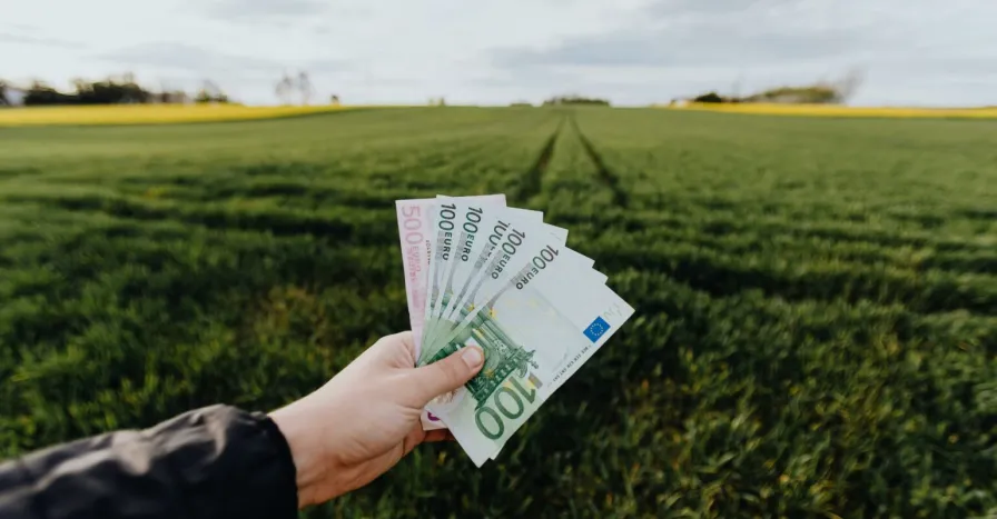Peniaze Ilustracne Pexels Karolina Grabowska