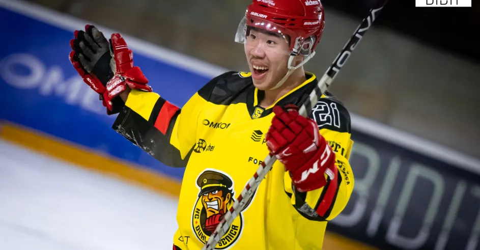 Hc Dukla Senica