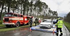 Na snímke prejazd vozidiel cez dezinfekčný brod pred vstupom do obce Plavecký Štvrtok v okrese Malacky 31. marca 2025. Výskyt slintačky a krívačky medzi dobytkom na farme v Plaveckom Štvrtku potvrdili v nedeľu (30. 3.) Tamojšia farma sa stala piatym chovom, kde sa na Slovensku nákaza vyskytla. FOTO TASR - Pavel Neubauer