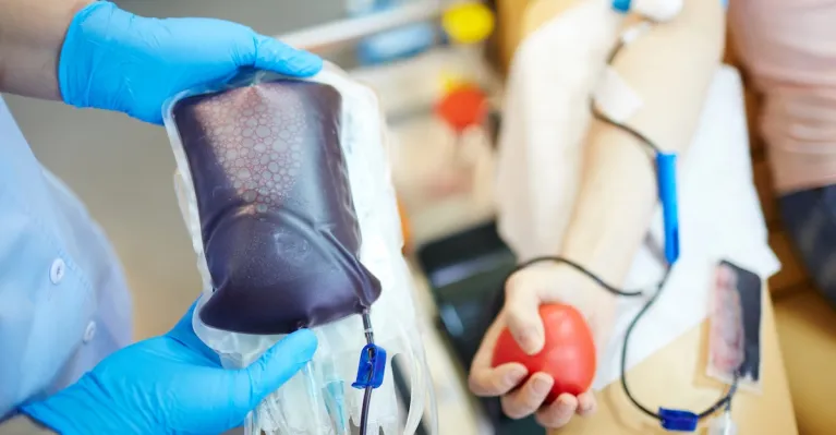 ilustračné foto Envato Elements / Pressmaster