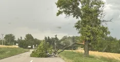 Spadnutý strom pri Petrovej Vsi, foto Natála, FB Dopravný servis, SE, SI, okolie