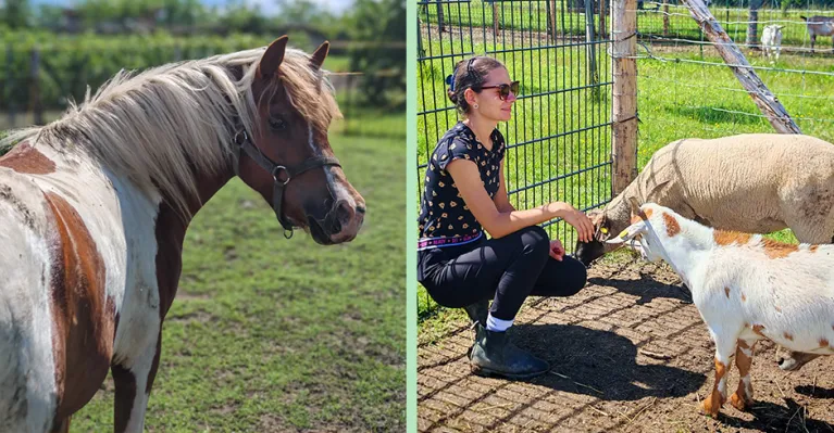 Na farme v Skalici deti spoznávajú zvieratá a učia sa starať o prírodu