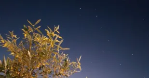 Obloha Pocasie Meteo Hviezdy