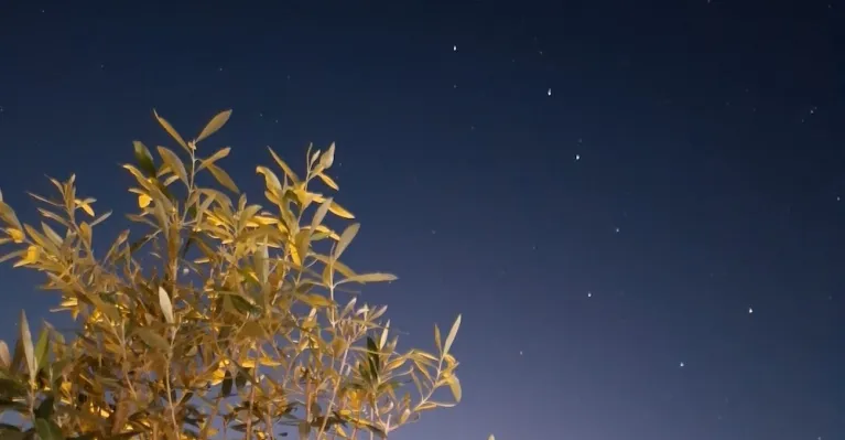 Nov Mesiaca nad Záhorím. Noc, ktorá odhalí hviezdy