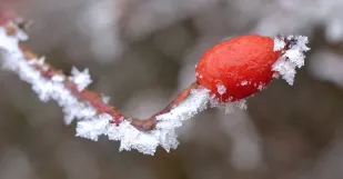 Namraza Pocasie Meteo Image Id56734344 Foto 123Rf.com