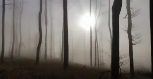 Cmelok Atmosfera na Prelome Jesene a Zimy