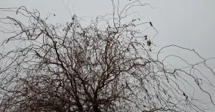 Screenshot 20251214 122247 Gallery