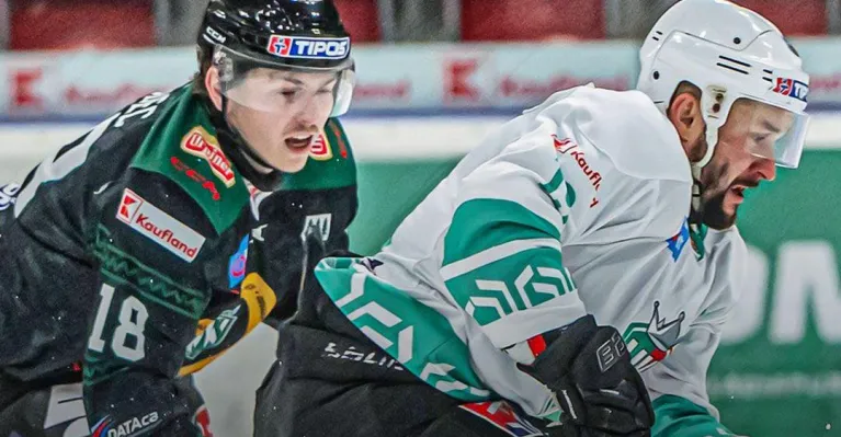 Hokej: Duel Detvy a Skalice sa nedohral, bitka aj konflikt s rozhodcami