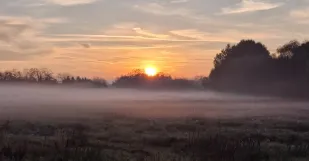 Screenshot 20251223 073511 Gallery