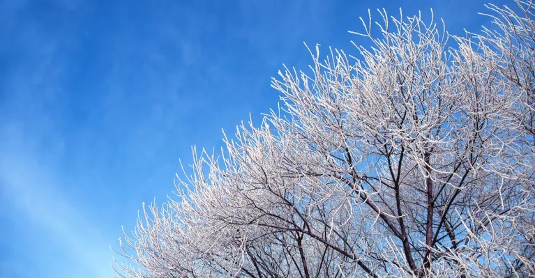 ilustračné foto Envato Elements / Wall-to-Wall