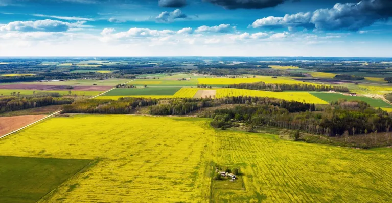 Ilustračné foto: 123rf.com (janka3147)