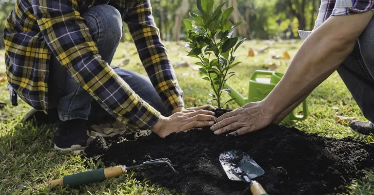 ilustračné foto 123rf.com / chartchaik1