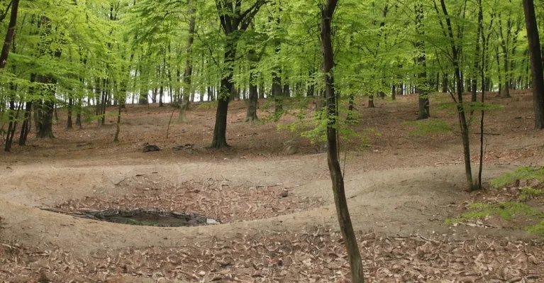 Bývalé napájadlo pre dobytok v pasienkovom lese nad Stupavou, foto Tomáš Olšovský