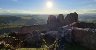 Branč