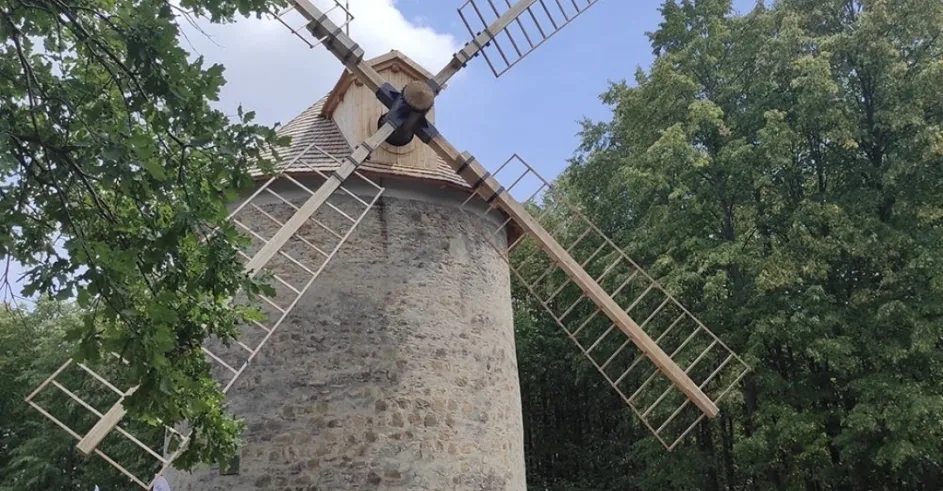 Mlyn, Holíč