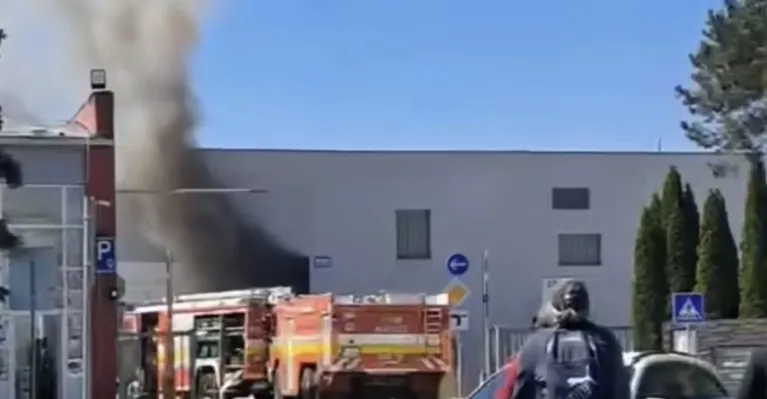 reprofoho FB Holican