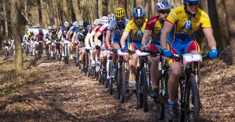 ilustračné foto Kráľ Záhoria