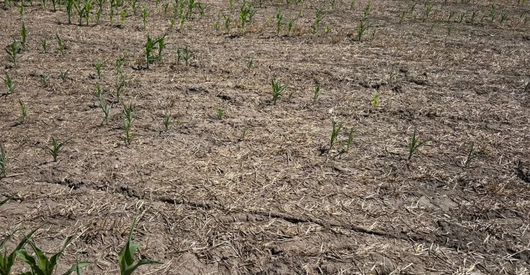 Ilustračný obrázok (zdroj: SPPK)