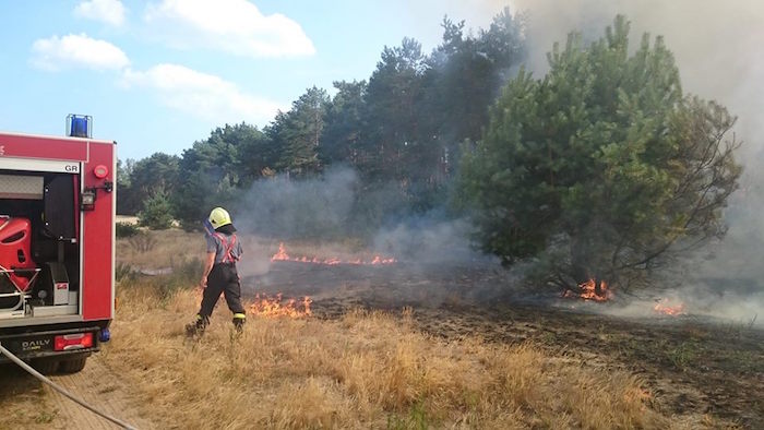 Požiar lesa v obci Závod, Foto: Peter Hajdin