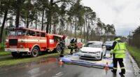 Na snímke prejazd vozidiel cez dezinfekčný brod pred vstupom do obce Plavecký Štvrtok v okrese Malacky 31. marca 2025. Výskyt slintačky a krívačky medzi dobytkom na farme v Plaveckom Štvrtku potvrdili v nedeľu (30. 3.) Tamojšia farma sa stala piatym chovom, kde sa na Slovensku nákaza vyskytla. FOTO TASR - Pavel Neubauer