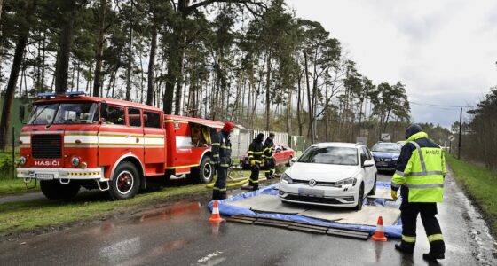 Na snímke prejazd vozidiel cez dezinfekčný brod pred vstupom do obce Plavecký Štvrtok v okrese Malacky 31. marca 2025. Výskyt slintačky a krívačky medzi dobytkom na farme v Plaveckom Štvrtku potvrdili v nedeľu (30. 3.) Tamojšia farma sa stala piatym chovom, kde sa na Slovensku nákaza vyskytla. FOTO TASR - Pavel Neubauer