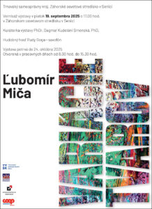 Mica Variacie Tvarov Senica 2