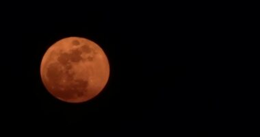 Foto: Martina Struharikova, Skalica